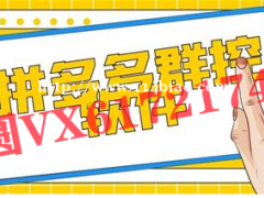 拼多多店群工作室培训加盟，店群辅助软件工具贴牌代理