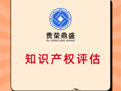 呼和浩特市专利价值评估软著增资评估知识产权评估 公平市场价值