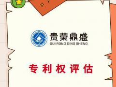 成都市软著出资评估商标评估专利增资评估