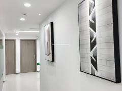 全新精装办公室 拎包入驻，29元/天，商业写字楼 办公氛围好