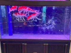 济南槐荫区鱼缸清洗