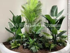 仿真植物葵树棕榈树