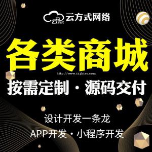 商城软件专业定制开发 商城软件专业定制开发团队