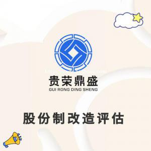 江西省南昌市企业股权价值评估股东价值评估企业负债评估