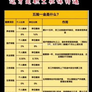 迎泽区社保代缴服务