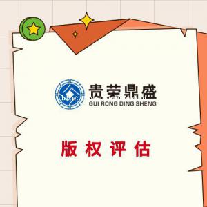 成都市武侯区版权评估专利权出资转让评估海域使用权评估