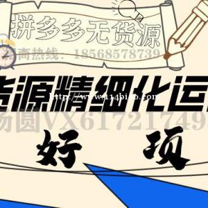 拼多多网店运营培训，无货源店群软件群控，一键复制上传下单