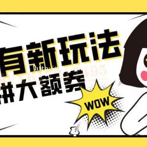 拼多多店群玩法_拼上拼大额券运营培训，软件代理贴牌全国招商