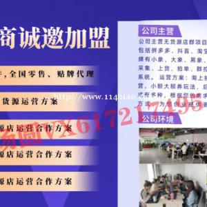拼多多自动下单回复软件，子账号授权，拼上拼全站推广玩法全套共享