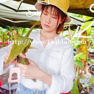 深圳端午游玩攻略新奇又好玩