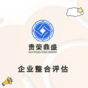 成都市邛崃市股权转让评估公司价值评估