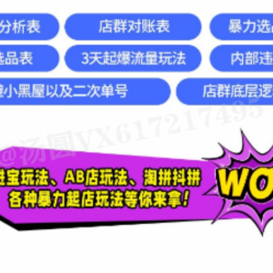 拼多多店群软件加盟，淘上拼/拼上拼/大额券/全套运营玩法共享培训