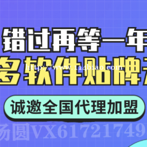 拼多多店群软件，后台授权子账户贴牌加盟，全套运营玩法资源共享