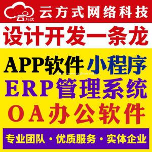 ERP管理系统软件开发专业团队销售出入库管理
