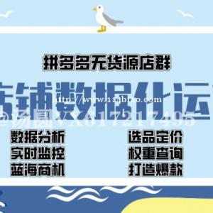 拼上拼全站推广+关注券玩法，店群软件OEM可发展下级代理学员