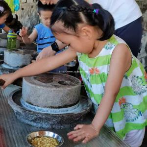 深圳田中园生态园活动基地内有大舞台体验亲子DIY