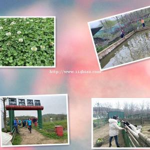 谁给支个招武汉公司团建想好去哪吗？匿名网友三大活动场地准不错