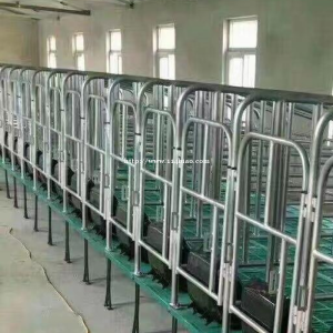 猪用限位栏定位栏复合限位栏带漏粪板加厚热镀锌母猪用产床保育床