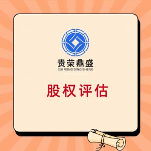 北京市公司股权价值如何评估股权价值评估方法