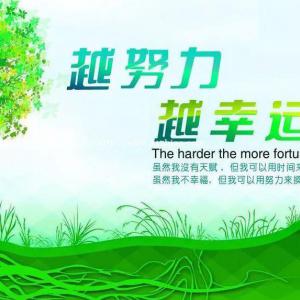 你的野心可以让你走多远