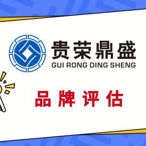 广东省河源市企业无形资产找一家企业资产价值专业评估今日更新
