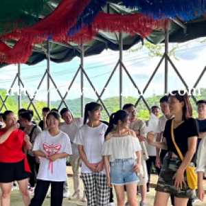 想给所有人安利这家农场好玩的很