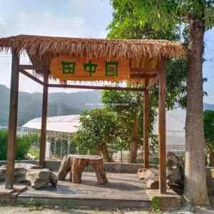 深圳周边公司团建企业拓展户外野炊值得推荐的农家乐一日游攻略