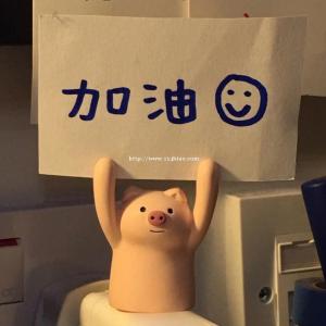 五年制专转本三江学院难在哪里？2023年考生该如何备考？