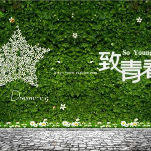 专转本高分是怎么考出来的