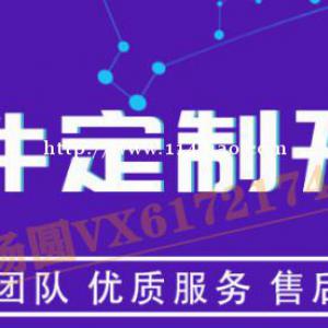 拼多多无货源电商玩法，淘上拼抖上拼自然流量运营，上货软件代理招商