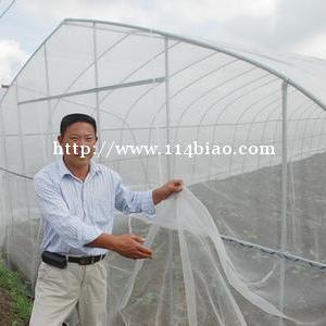 许昌豆虫网养殖豆丹大棚防虫网加密60目首选