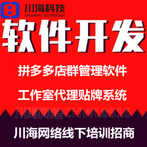 拼多多店群软件招商，工作室后台软件小象红象，代理后无限开账户