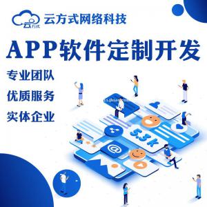APP开发软件开发