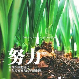 专转本常见的问题