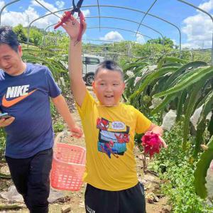 深圳周边组织团建户外拓展野炊秋游最佳好去处九龙生态园农家乐