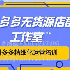 拼多多店群全网采集软件， 无货源店群必备助手--红象上货软件代理