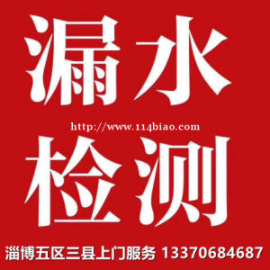 淄博测漏水查漏水，专业漏水检测设备精准查找漏水点