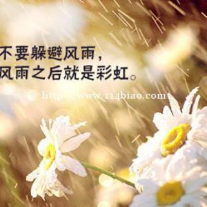 五年制专转本机械电子工程专业各院校录取分数线是多少？难度大吗？