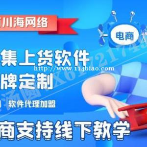 拼多多一件代发模式，店群选品运营思路教学，采集上货下单软件招代理