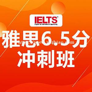 济南雅思培训学校一对一辅导培训班