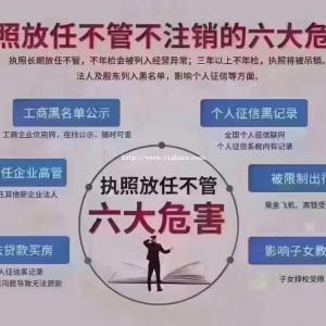 财务真票真账真报税实操