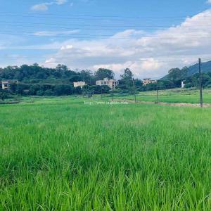 惠州疫情过后公司团建好去处