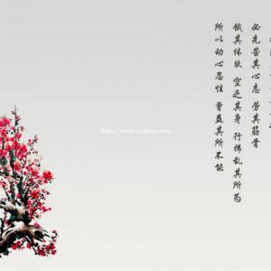 江苏五年制专转本，努力是对自己最好的回报