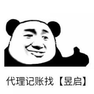出带人力资源的信息科技公司