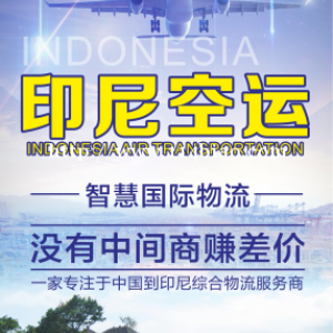 压汁机从广东惠州空运到印尼双清包税
