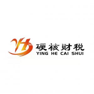 专业的财税代理记账机构