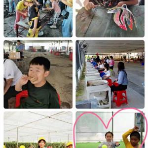 深圳亲子游学校春秋游一日游