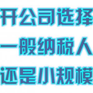 开公司选一般纳税人还是小规模
