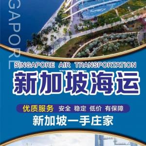 婴儿背带从深圳发到新加坡海运空运整柜双清到门 