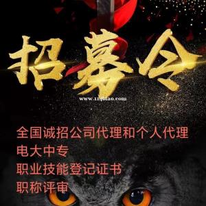 2023年湖北职业技能等级证书招代理越位说